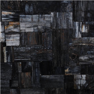 Petrified Wood Black Jurassic