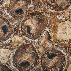 Petrified Wood Brown Semiprecious Stone