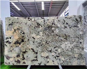 Natural Luxury Stone Splendor White Granite Slab Wall Tiles