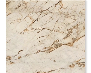 Natural White Roma Quartzite Slab Wall Flooring Tile