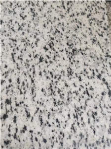 Bianco Halayeb Granite Slab Polished, Bianco Alaky Granite
