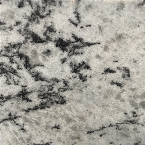 Sunset Tianshan Snow Granite Slabs Tiles For Floor Design