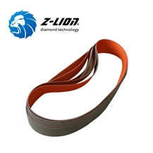 Z-LION Turbine Blades Polishing Belts