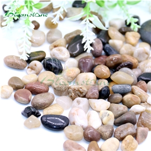 Lanscape High Polished Mixed Color Pebble Stone