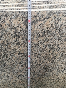 High Quality Tiger Skin Red Granite Tiles& Slabs