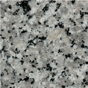 Nehbandan Gray Granite Tile