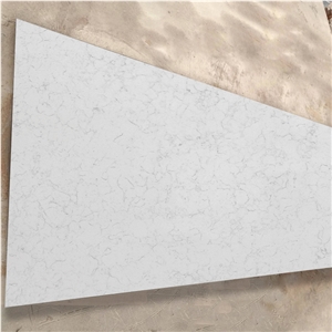 Marble Series 4032 Coarse Carrara Quartz Beachtop