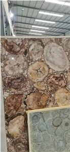 Petrified Wood Semiprecious Stone Slab(Round),Gemstone Slab