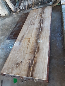 Petrified Wood Stone Table Top