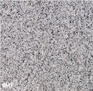 WHITE SAFAGA Granite Slabs, 2 Cm Thick