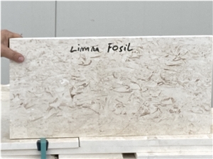 Limra Fossils Limestone Tiles