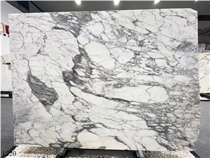Arabescato Carrara Bianco Di White  Marble In China Market