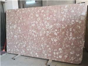 Golden Shell Reef Marble Slabs