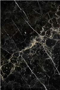 Black Nero Picasso Gold Marble Slabs, Tiles