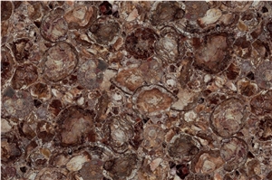Amethyst Dark- Brown Wood Semiprecious Stone