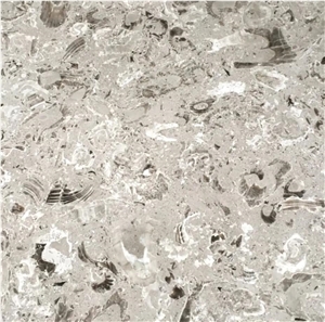 Aurisina Lumachella Slabs, Tiles, Floor Application