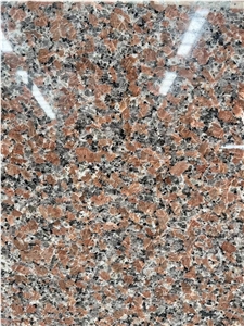 New G562 Granite Polished Slabs