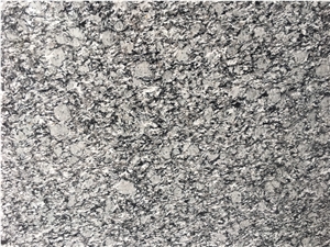 Spray White Granite Polished Slabs