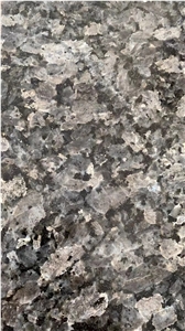 Silver Pearl Granite Slabs Factoryprice