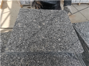 New Fantasy Grey Granite Ash Grey Tiles  Outdoor Tiles