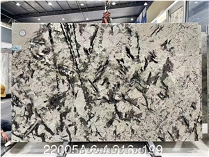 Brazil Alpinus Granite White Big Slabs For Living Room Use