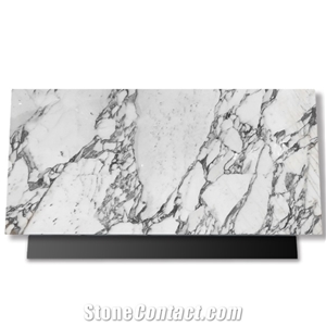 Competitive Price Quality Polished Arabescato White