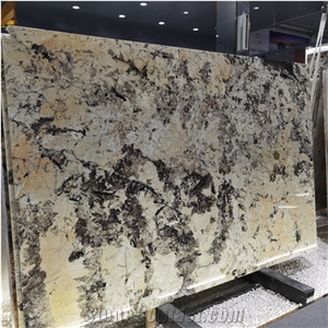 Luxury Stone Tiles Patagonia White Granite For Villa TV Wall