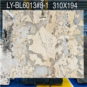 New Arrival Patagonia Quartzite For Background Wall Tiles