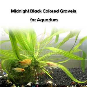 Crushed Black Midnight Coloured Gravels For Aquarium
