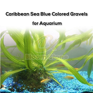 Crushed Caribbean Blue Coloured Gravels For Fish Tank