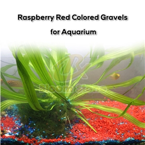 Crushed Raspberry Red Colored Gravels Aquarium Stone
