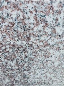 China Cheap Granite Tile, Own 2 Factories G664 Slab