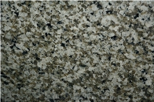 China Jiangxi Green Granite