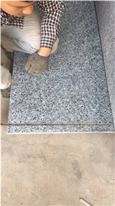 China New G439 Granite Cut To Size Stair Tiles