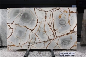 Brazil Deep Blue Quartzite Large Size Slabs For Living Room