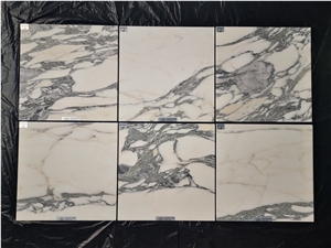 High Quality With New Design Natural Marble Tiles