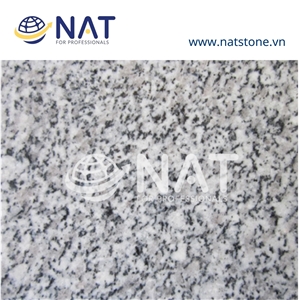 Vietnam G623 Spring Valley PM White Granite Slabs Polished
