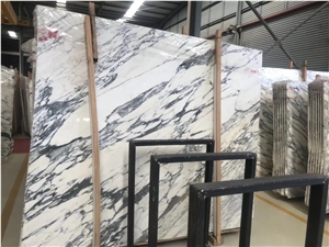 Italy Arabescato Marble Slab&Tiles For Home Decoration