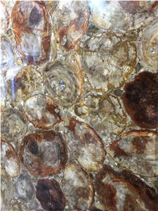 Petrified Wood Fossil Semiprecious Stone Polished Big Slab