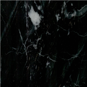 Negro Pinta Marble