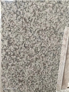 G2201 White Chinese Granite, Jilin White Granite