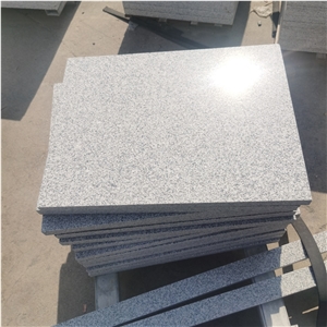 Factory Direct Low Price G603 White Granite Paving Stone