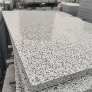 New G603 Granite, Sesame White, Padang White Best Price