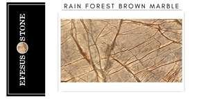Rain Forest Brown Marble Tiles,Marble Slabs