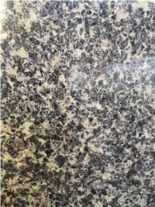 Fogila D'autun Leopard Skin Granite Multicolor Stone Tile