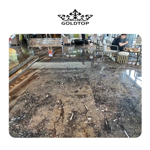 Best The Underwater World Fossil Marble Slabs For Floor