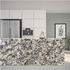 GOLDTOP OEM/ODM New G602 Granite Tiles And Slabs