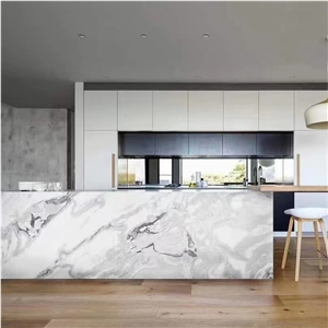 Modern Style High Quality Oyster White Marble Slabs
