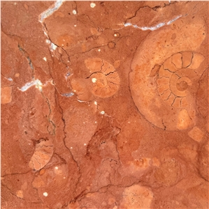 Spain Rosa Alicante Red Marble Slab