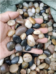 Mixed Pebbles, River Stone